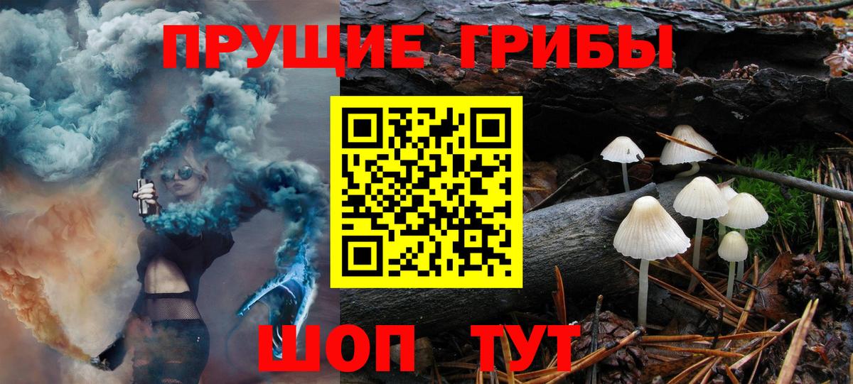 Галлюциногенные грибы Magic Shrooms  Вход с VPN  Лесной  Псилоцибиновые грибы Psilocybe 